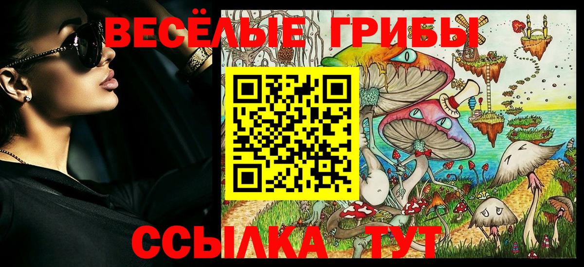 Псилоцибиновые грибы Cubensis Арсеньев